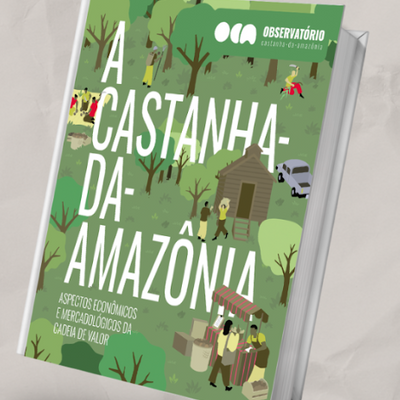 A Castanha-da-Amazônia: Aspectos Econômicos e Mercadológicos da Cadeia de Valor